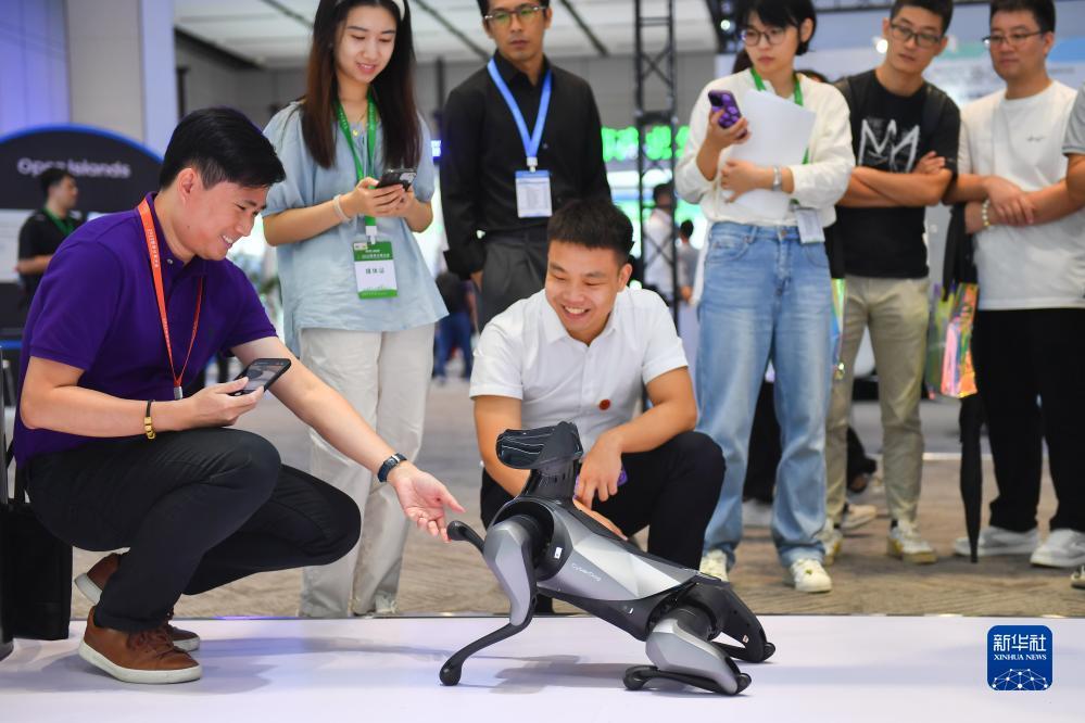 哈灵麻将技巧与概率